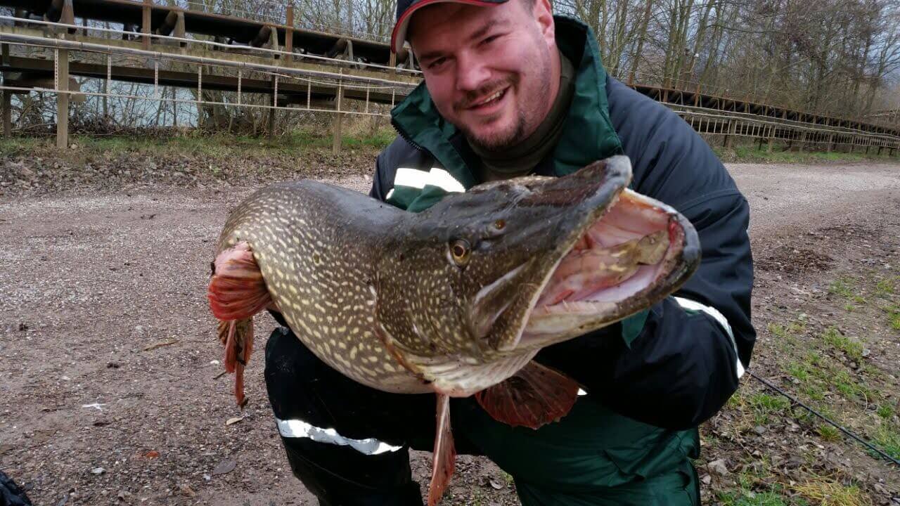 Hechtfang – Detail Unterkiefer – Carp2Pike