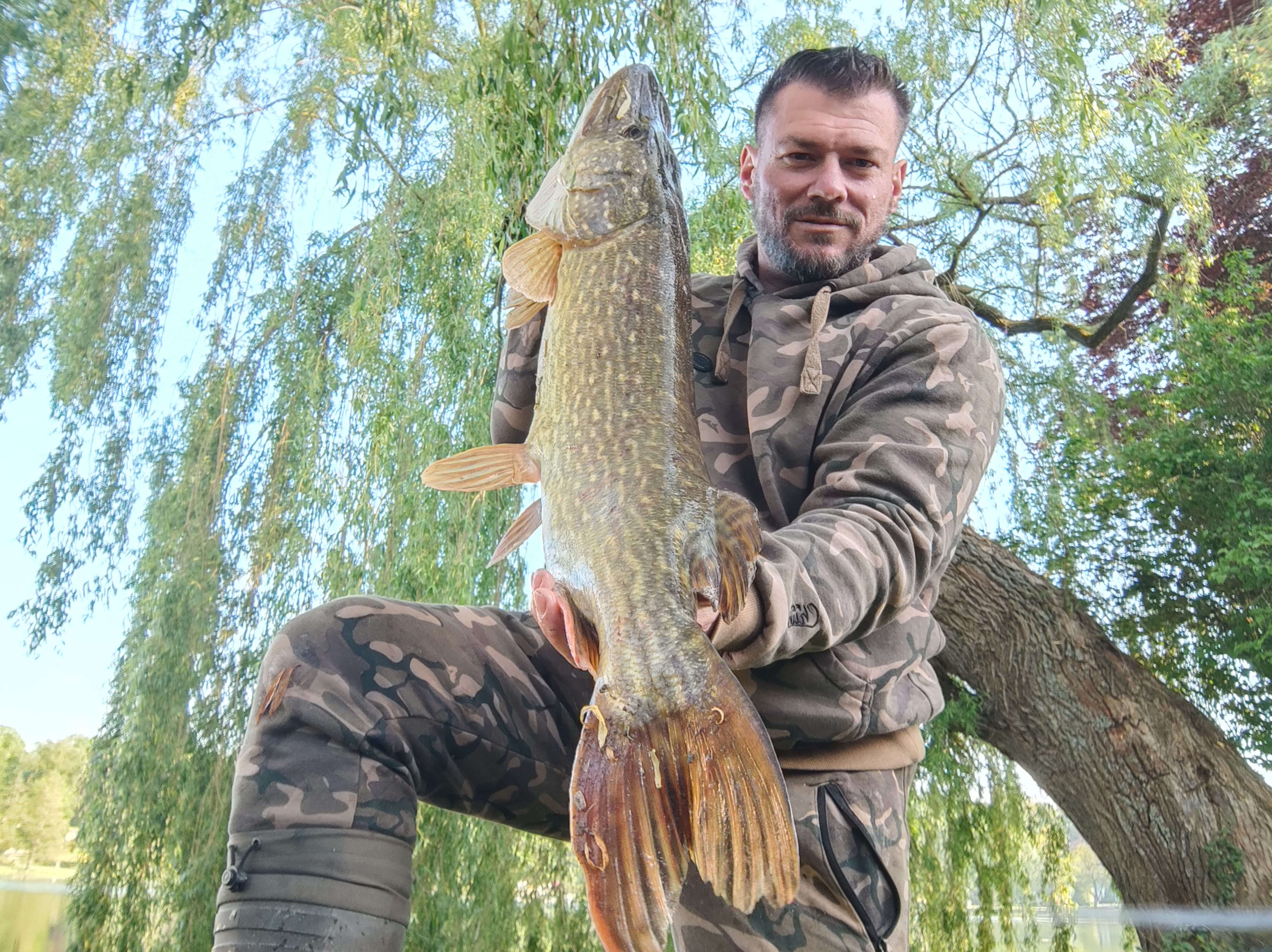 Jerkbait-Fang über Kante – Carp2Pike