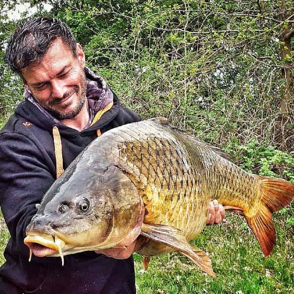 Fangfoto Schuppenkarpfen Carp2Pike