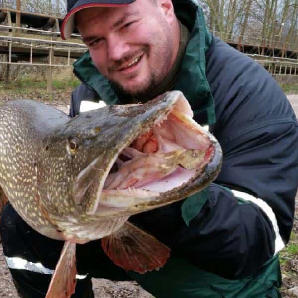 Riesen-Hechtmaul Nahaufnahme Carp2Pike