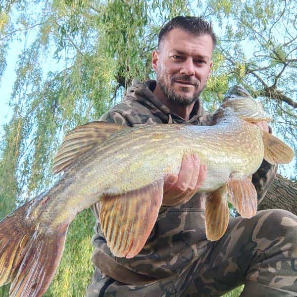 Gefangener Hecht Carp2Pike
