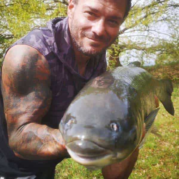 Riesiger Graskarpfen Carp2Pike