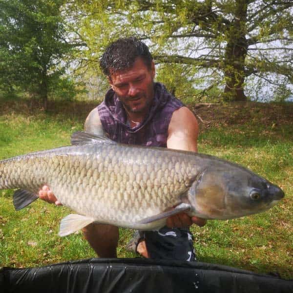 Großer Graskarpfen Carp2Pike