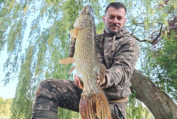 Hecht 112 cm im Flachwasser gefangen